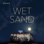 Wet Sand4