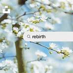 rebirth photography2