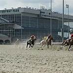 horse racing entries equibase3