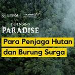 defending paradise4