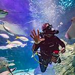 ripley's aquarium of canada reviews and prices2