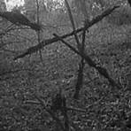 is lost tapes based on the blair witch project budget4