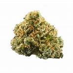 pineapple express weed2