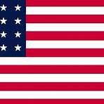 amerika flagge mit adler1