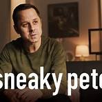 Is Sneaky Pete a good show?3