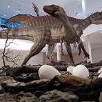 museu de ossos de dinossauro em.sp3