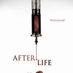 Life After Life filme2