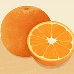 tangerine fruit4