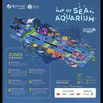 sea aquarium singapore resort world1
