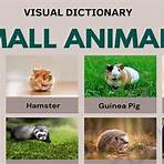 What animals are small?4