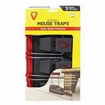 best mouse trap for housekeeping4