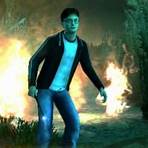 harry potter and the half-blood prince wii1