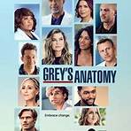 grey's anatomy 17 temporada dublado super flix3