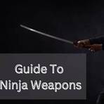 Shuriken School: The Ninja's Secret película1
