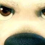 Bolt - Ein Hund für alle Fälle 3D Film4