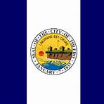 toledo ohio united states of america flag image1