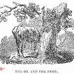 the frog and the ox2