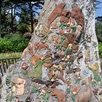 melbourne fairies tree in the fitzroy gardens of chicago3