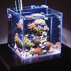 nano aquarium meerwasser2