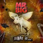 Mr. Big (American band)3