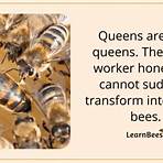 queen bee1
