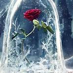 beauty and the beast images2