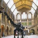 the natural history museum london wikipedia2