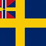 Flag of Sweden2