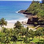 Hawaiian Islands wikipedia4