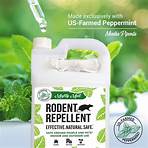 peppermint oil mice repellent near me1