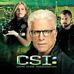 CSI: Crime Scene Investigation2