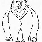 urso pardo desenho para colorir5