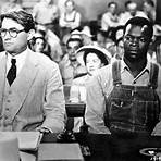 What does it mean to kill a Mockingbird?3