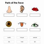 parts of the face worksheet for kids1