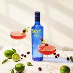 skyy infusions3