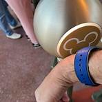 walt disney world ingressos5