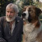 The Call of the Wild: Dog of the Yukon Film1