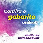 logo unifeob1