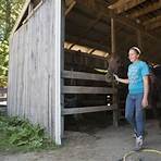 uncle buck's riding stable hocking hills ohio3