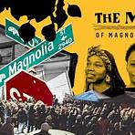 Magnolia Street1