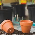 A Beginners Guide to Container Gardening4