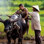 kambodscha reisen2
