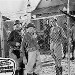 Laurel und Hardy: Schrecken der Kompanie Film1
