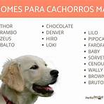 nomes para cachorros1