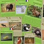 animaux sauvages liste5
