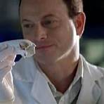 csi ny season 2 episode 213