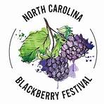 blackberry festival lenoir nc3