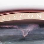 What does a Visconti V pen look like?2
