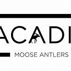 acadia antlers coupon code2