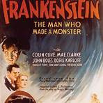 Frankenstein Film Series2